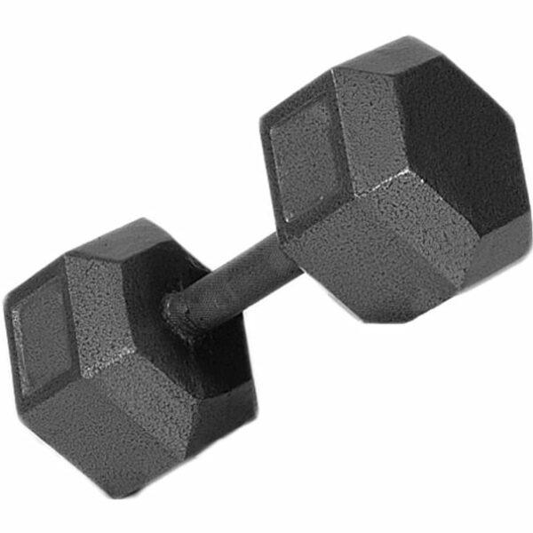 Troy Barbell | 30lb c/i solid dumbbell - Troy Barbell 30Lb C/I Solid Dumbbell | Grey | Os