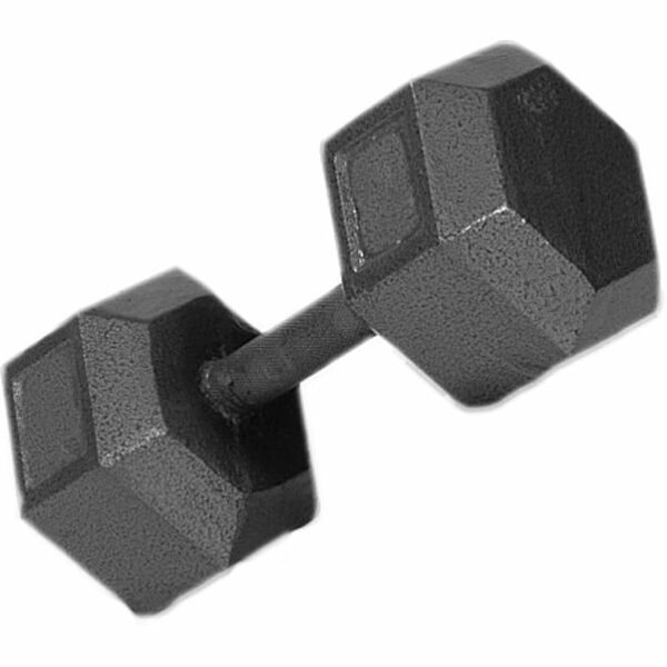 Troy Barbell | 15lb c/i solid dumbbell - Troy Barbell 15Lb C/I Solid Dumbbell | Grey | Os