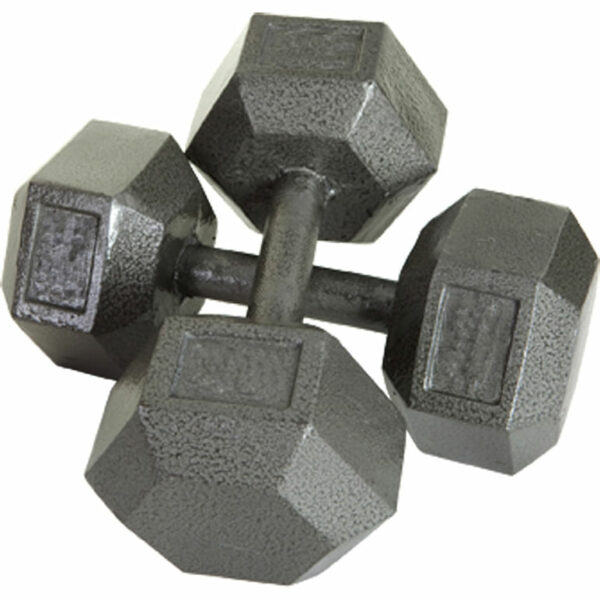 Troy Barbell | 40lb c/i solid dumbbell - Troy Barbell 40Lb C/I Solid Dumbbell | Grey | Os