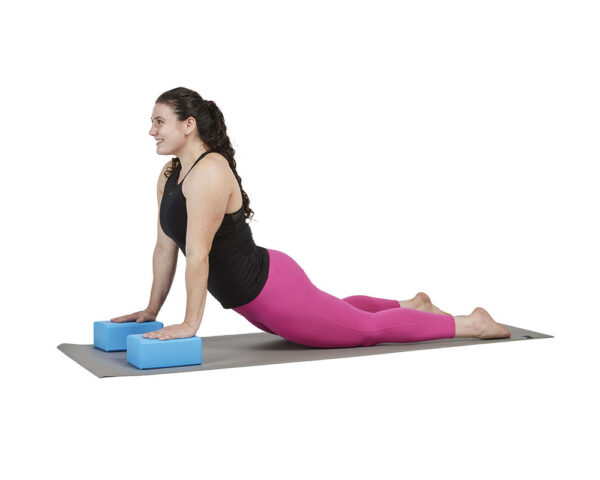 Perform Better | Yoga Blocks - Blue (Pair)