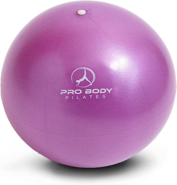 10 inch Mini Exercise Ball in Purple