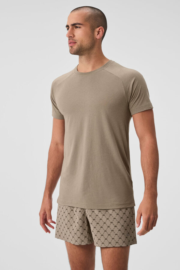 Alo Yoga® | The Triumph Crew Neck T-Shirt in Gravel Beige